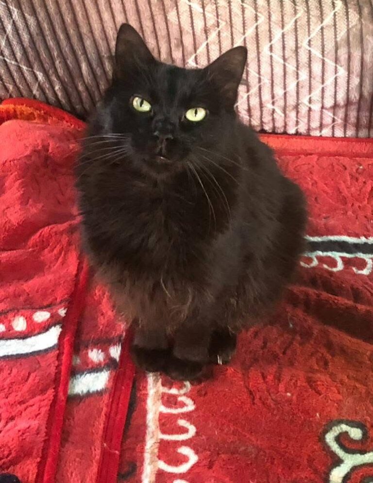 IMG 4599 E1771897321383 768x995