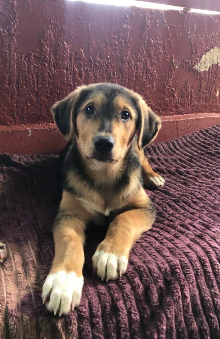 622834138 10163775667158445 4847704172399151323 n