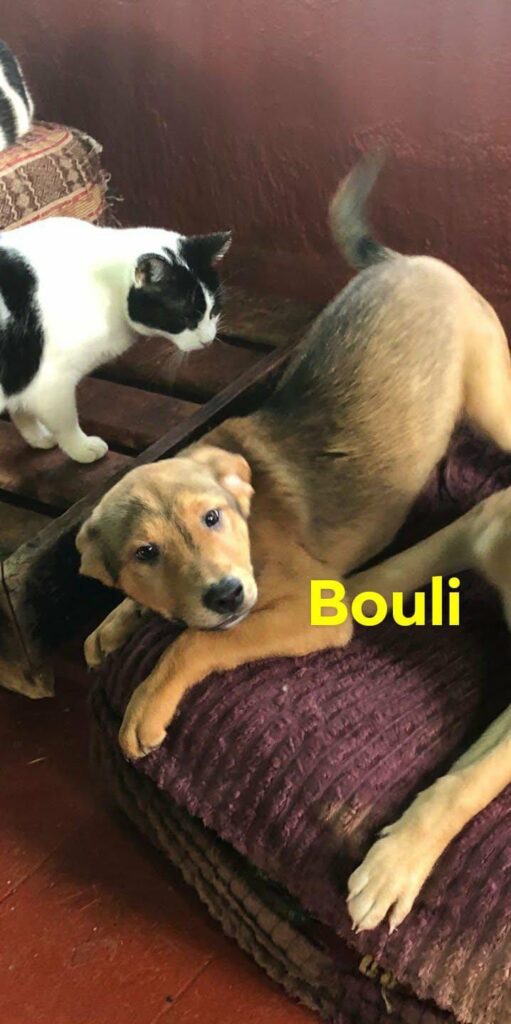 622918222 10163778183863445 4166357888845432132 n