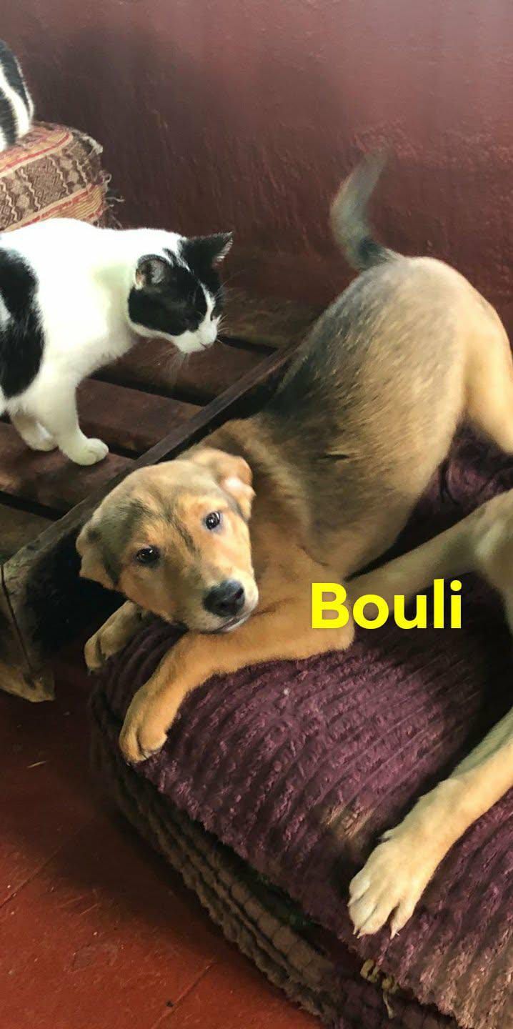 622918222 10163778183863445 4166357888845432132 n