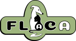 flaca vert