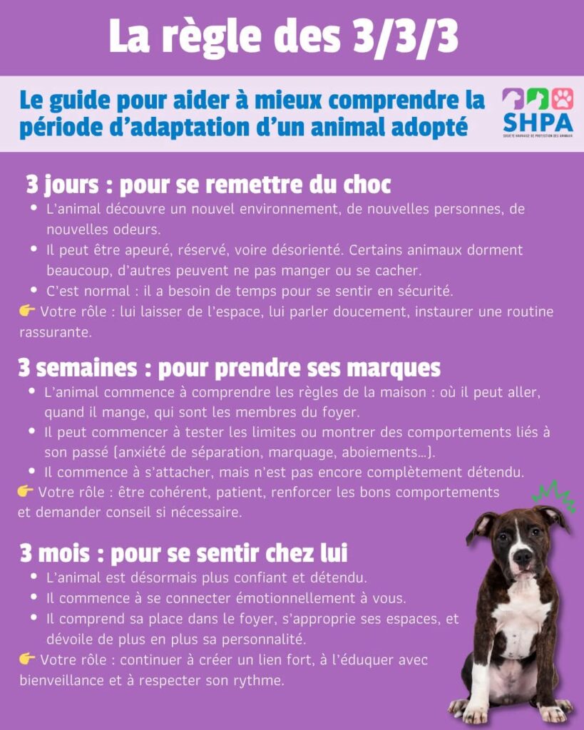 photo 2026 02 19 00 25 00