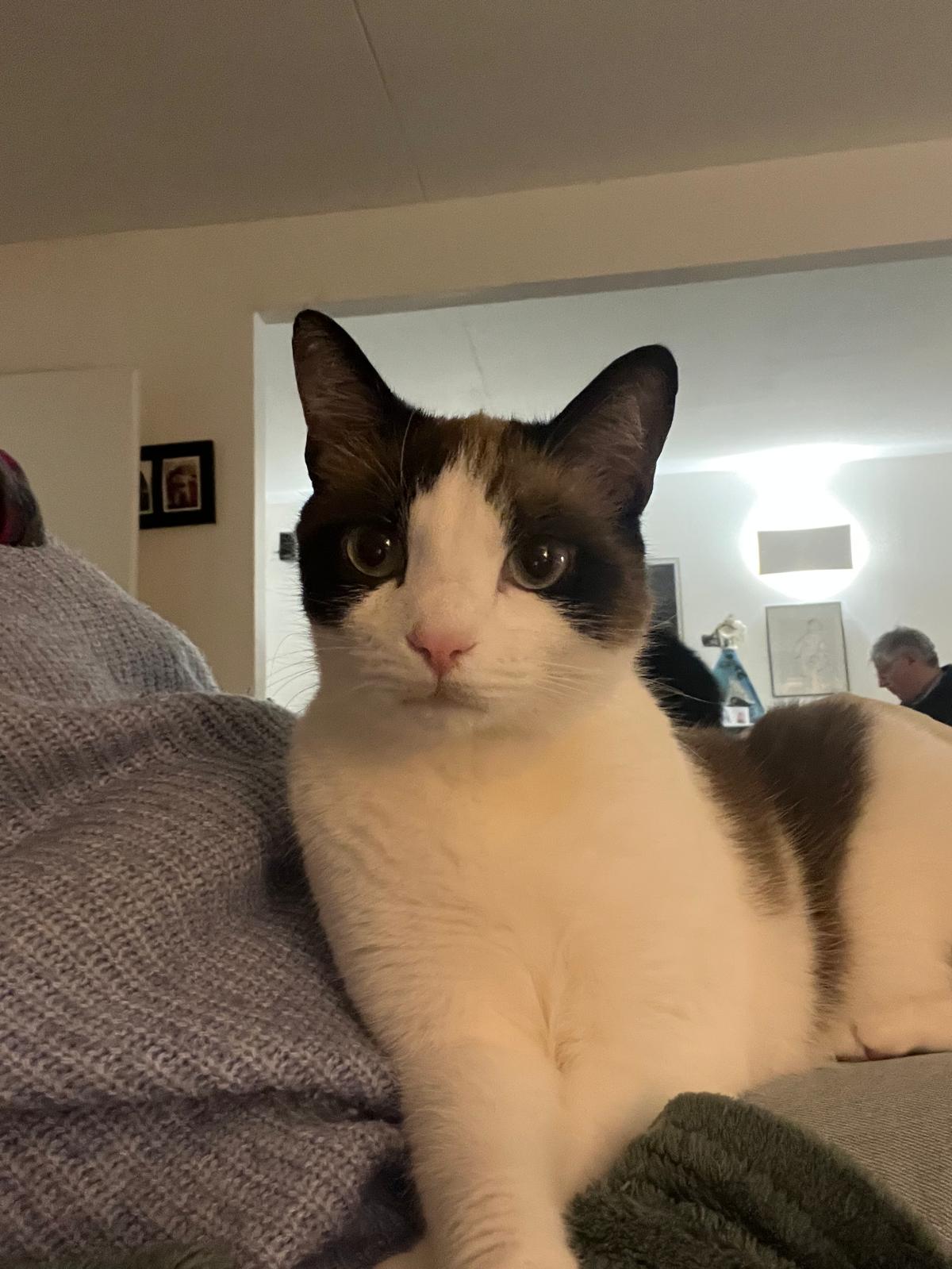 whatsapp image 2026 03 02 at 22.26.33