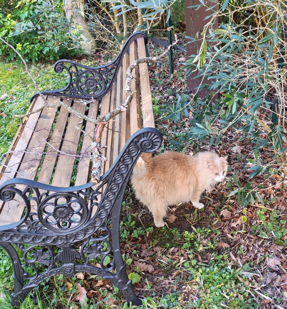 whatsapp image 2026 03 03 at 13.13.44 blacklisted 20260309 011757 i6n1c4blwk