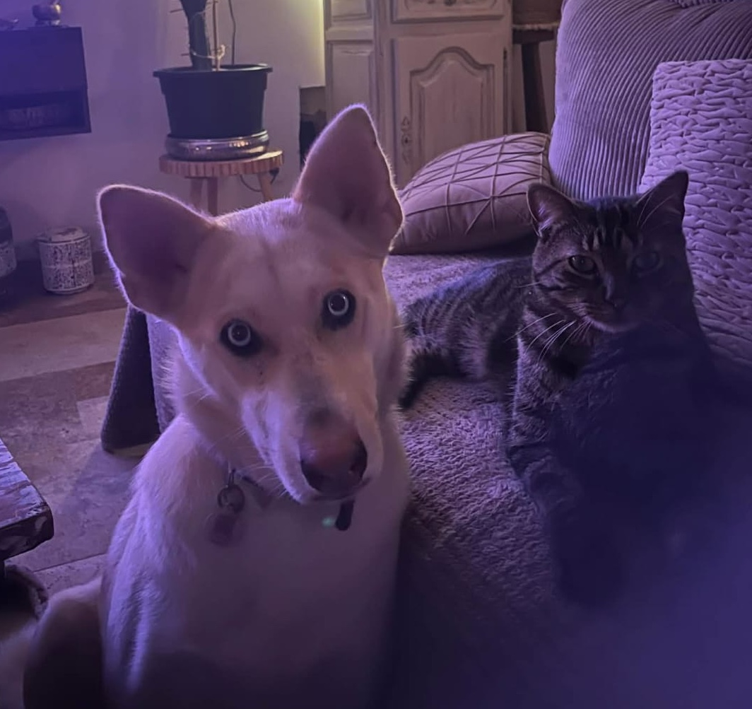 whatsapp image 2026 03 03 at 15.42.36