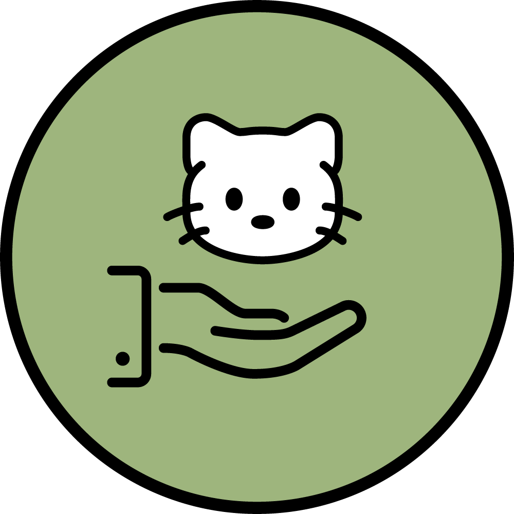 chat