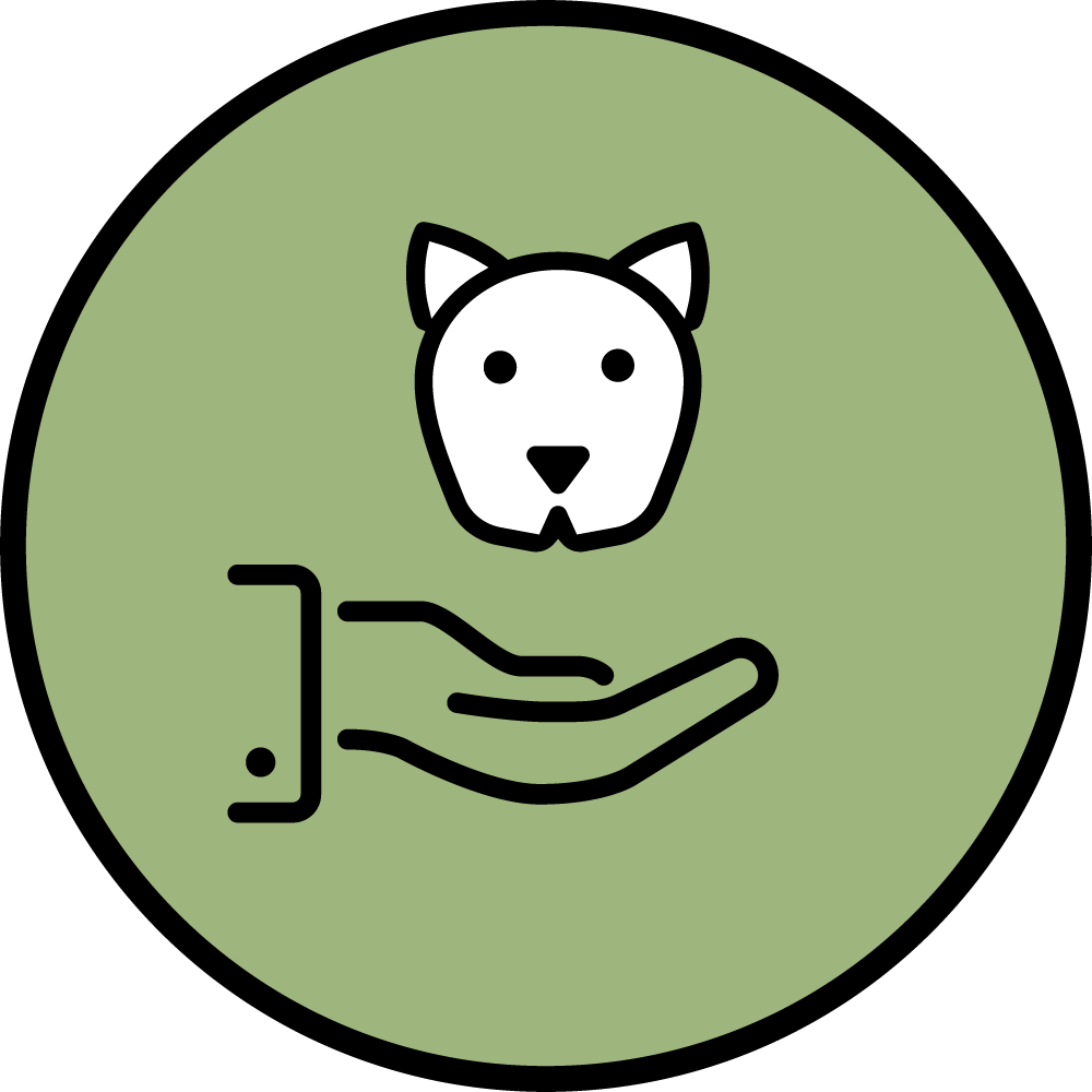 chien