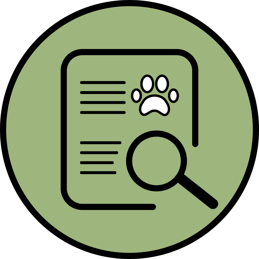conditions adoption