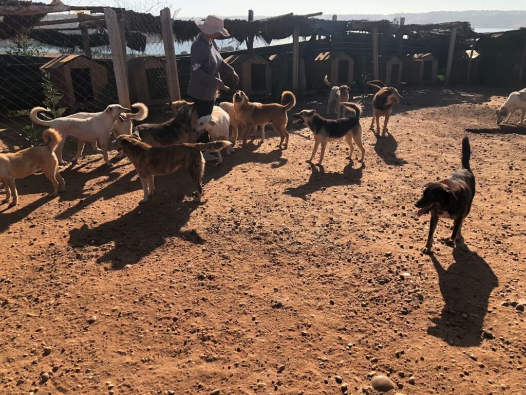 img 20260611 wa0008