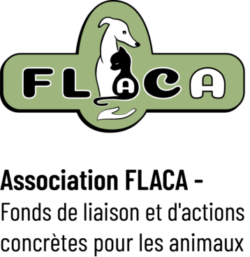 flaca texte